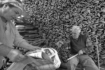 Traditional Walking Stick Making