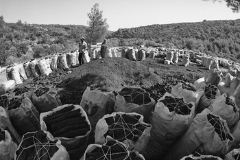 Traditional Charcoal Making — Torlukçular