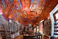 biblioteca-publica photograph 5
