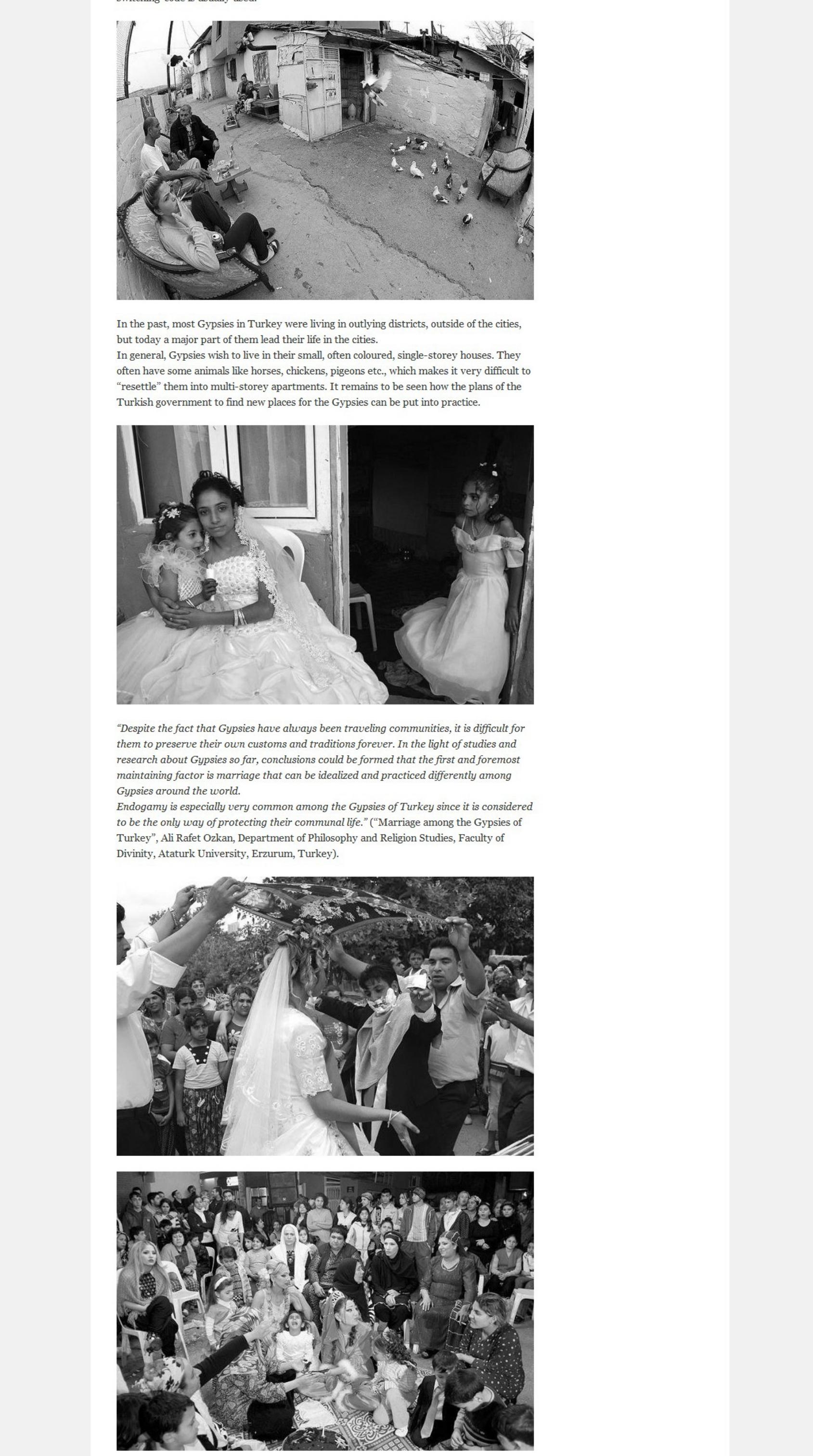 Publication page 7