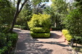 el-corro photograph 15