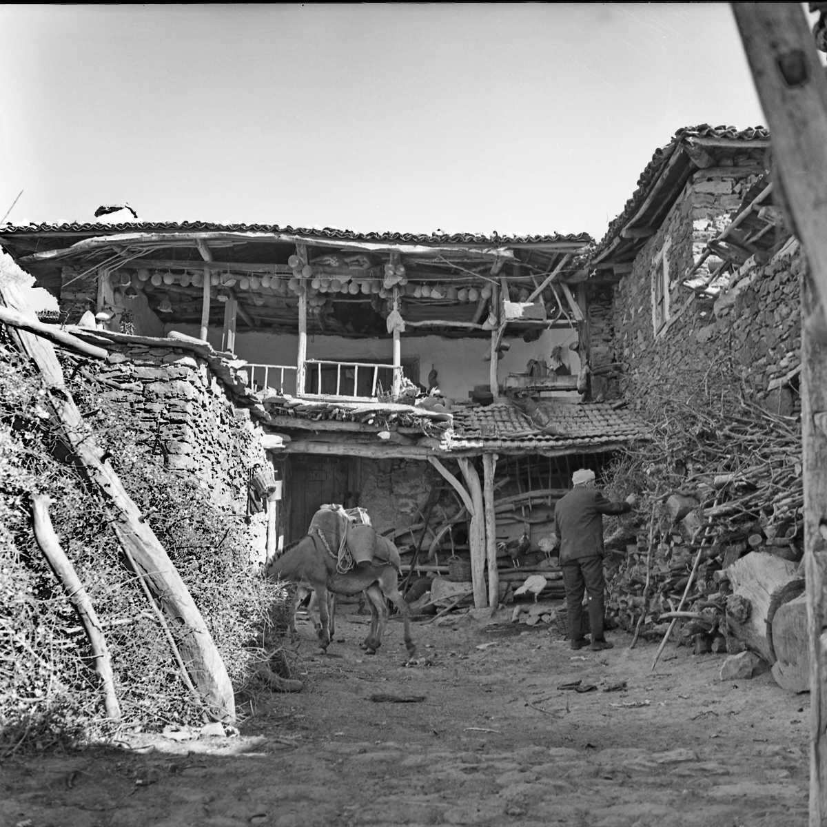 Anatolia | 1973 photograph 6