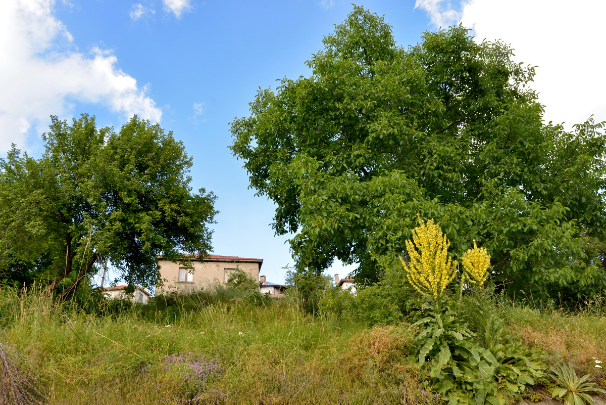 Village Life | Zagrazhden, Bulgaria photograph 2