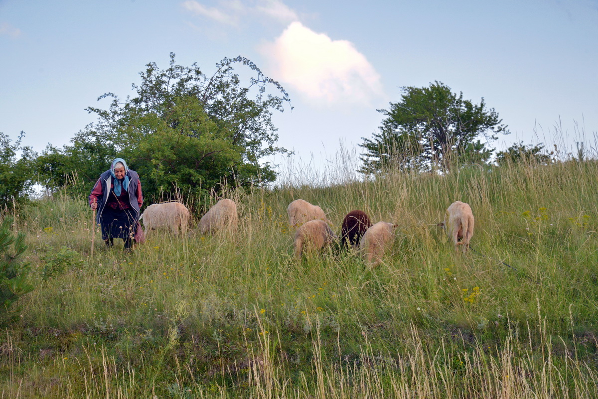 Village Life | Zagrazhden, Bulgaria photograph 7