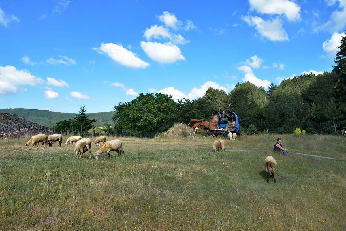 Village Life | Zagrazhden, Bulgaria photograph 11