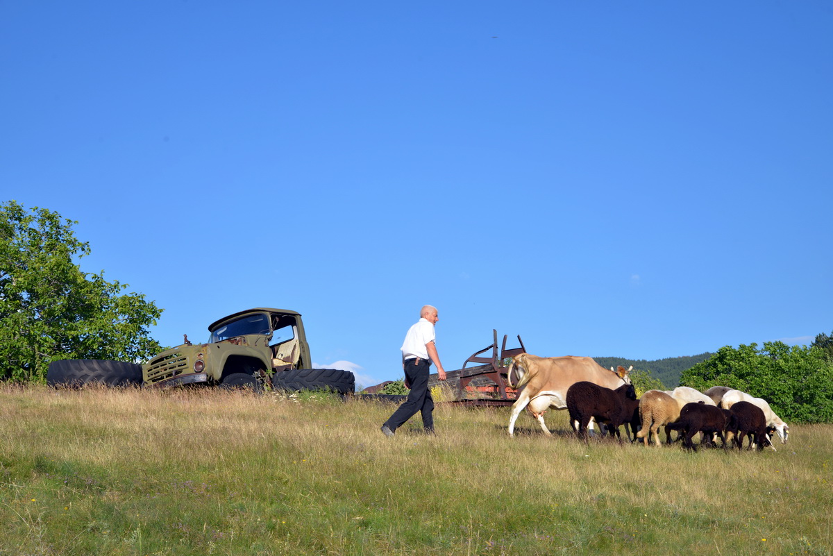 Village Life | Zagrazhden, Bulgaria photograph 13