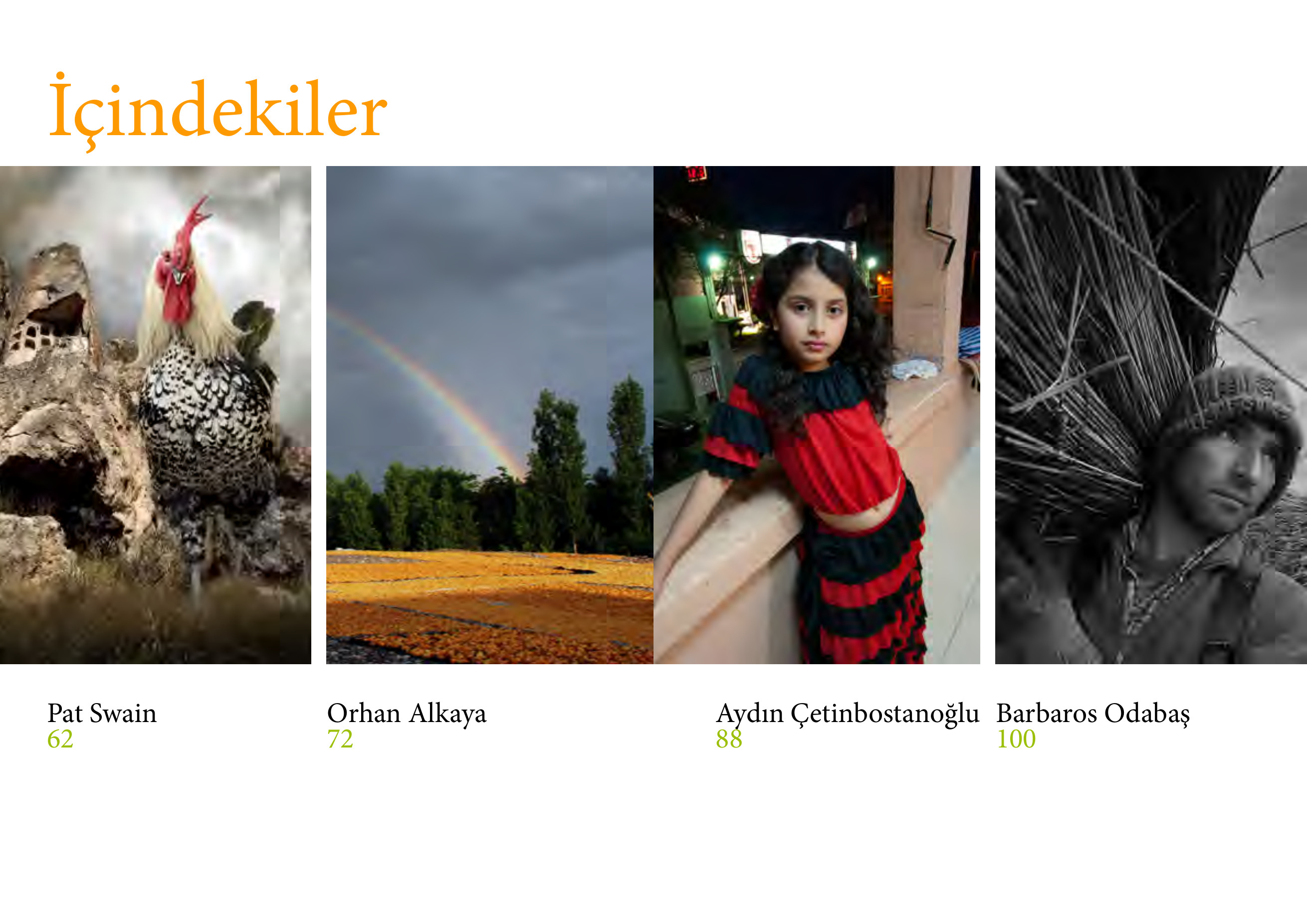 Fotoritim 2012 Almanac page 4 – contents with Aydın Çetinbostanoğlu