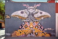 smawalls photograph 21
