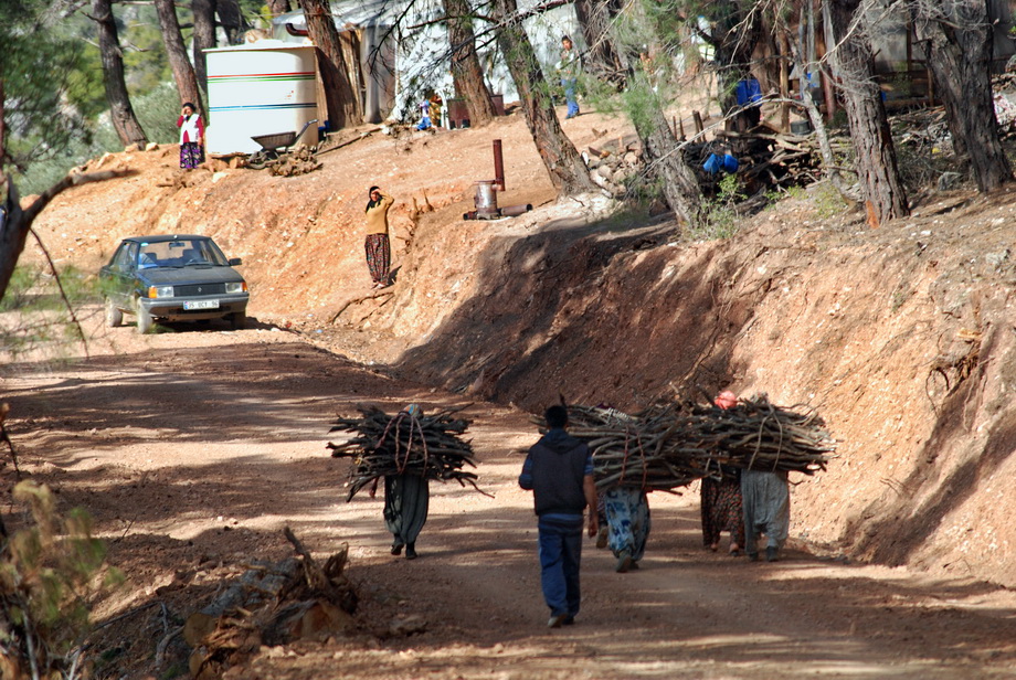 Traditional charcoal making, photograph 03