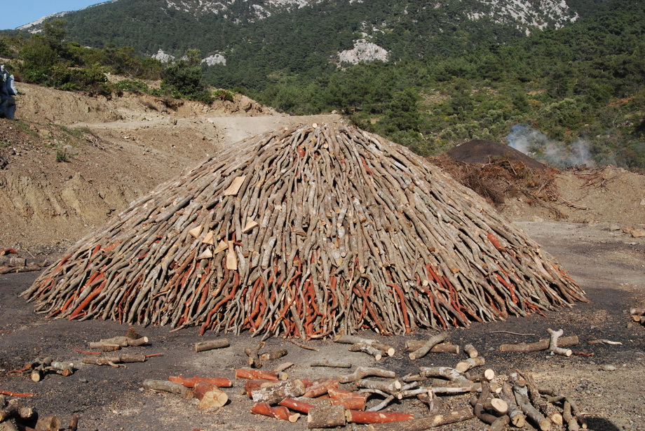 Traditional charcoal making, photograph 04