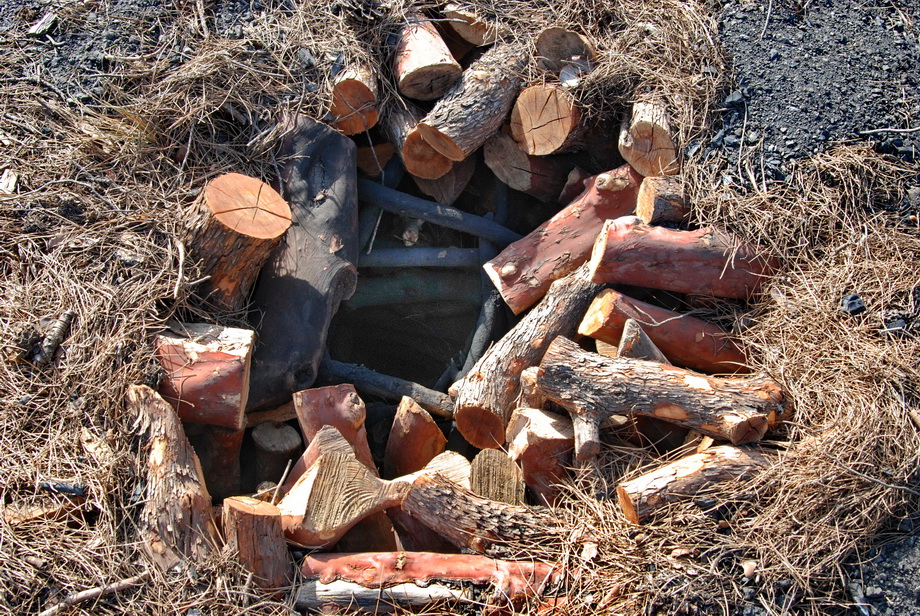 Traditional charcoal making, photograph 05