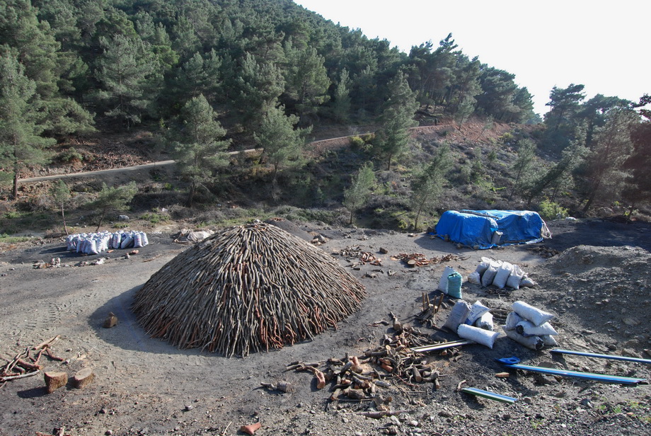 Traditional charcoal making, photograph 06