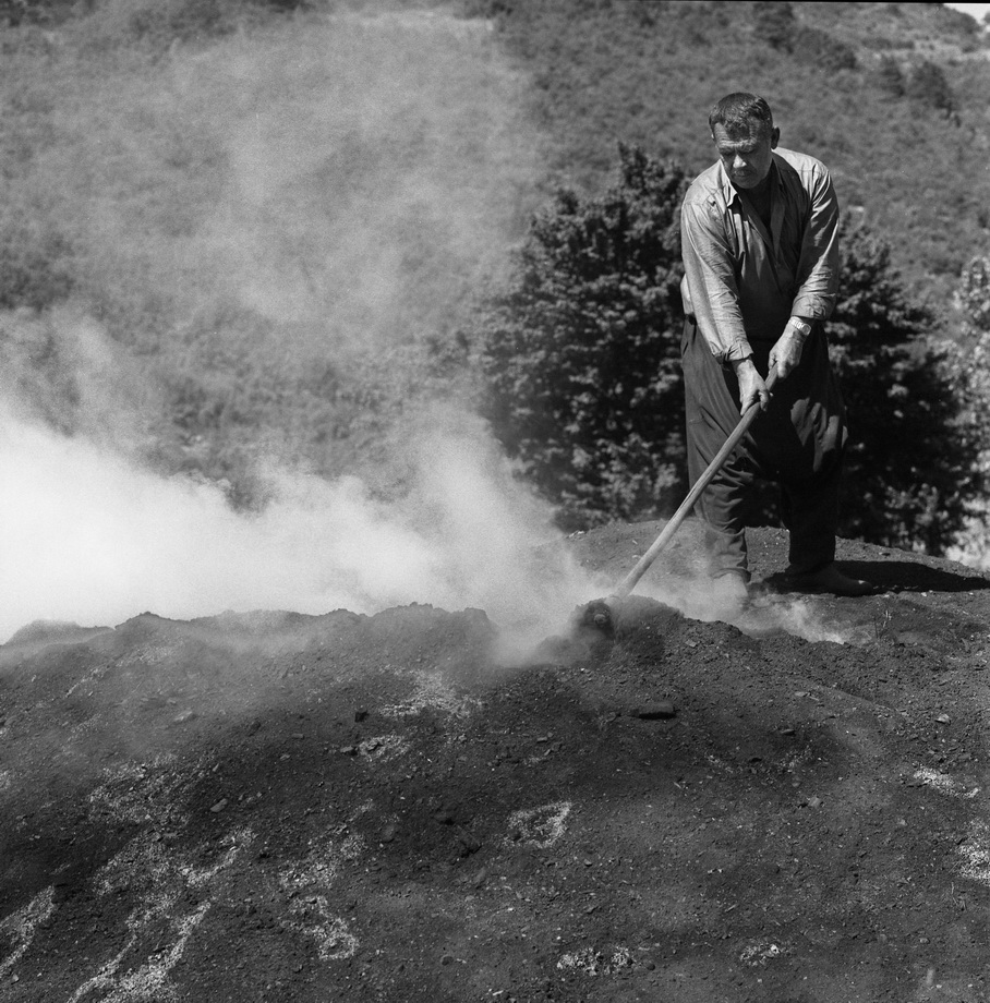 Traditional charcoal making, photograph 07