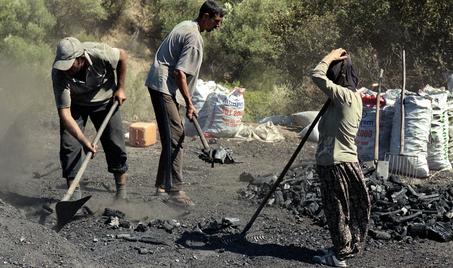 Traditional charcoal making, photograph 08