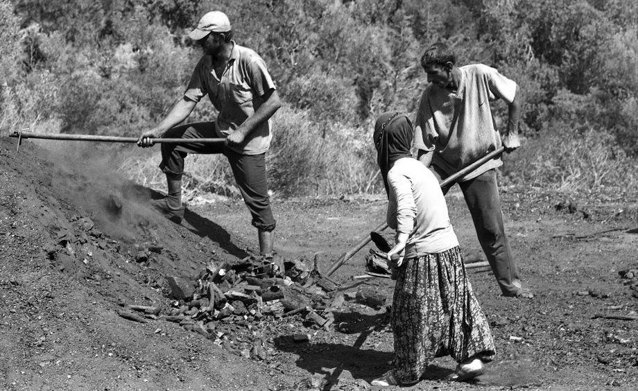 Traditional charcoal making, photograph 09