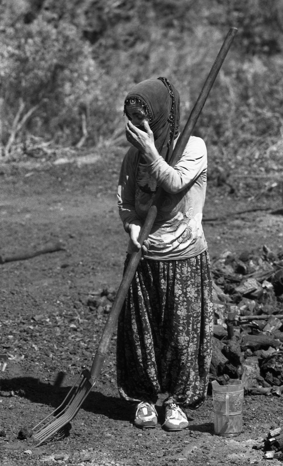 Traditional charcoal making, photograph 10