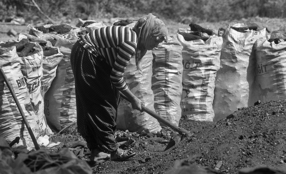 Traditional charcoal making, photograph 11