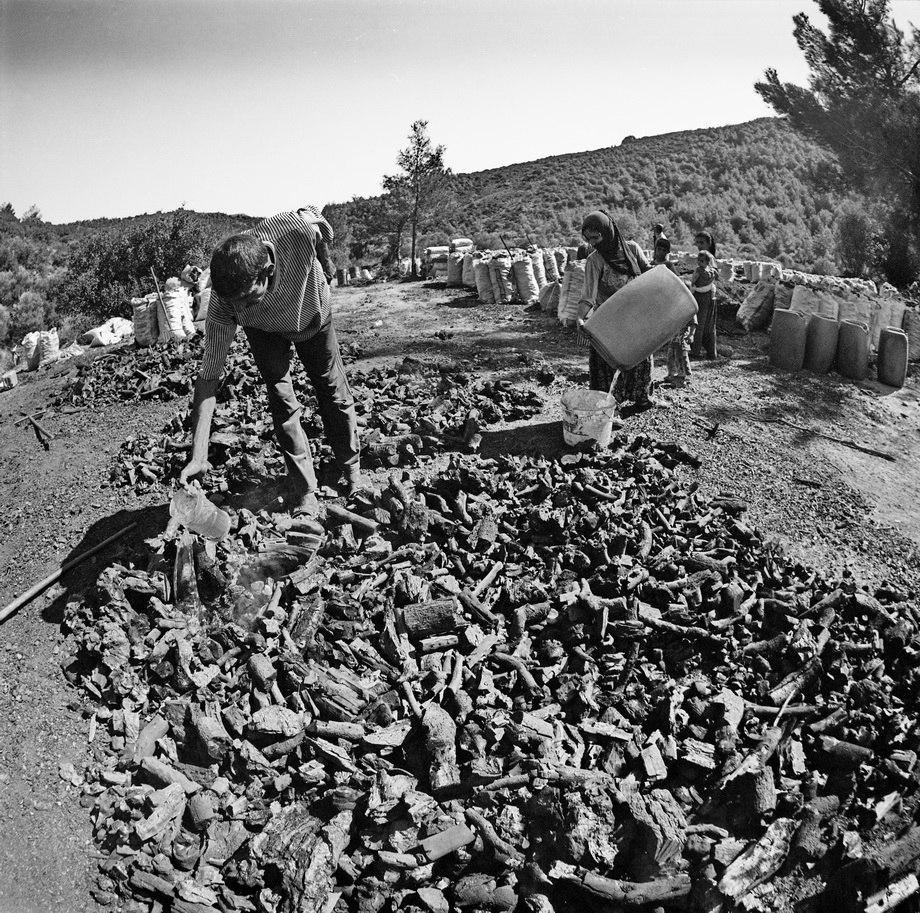 Traditional charcoal making, photograph 12