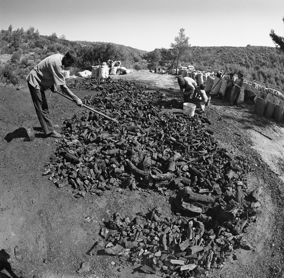 Traditional charcoal making, photograph 14
