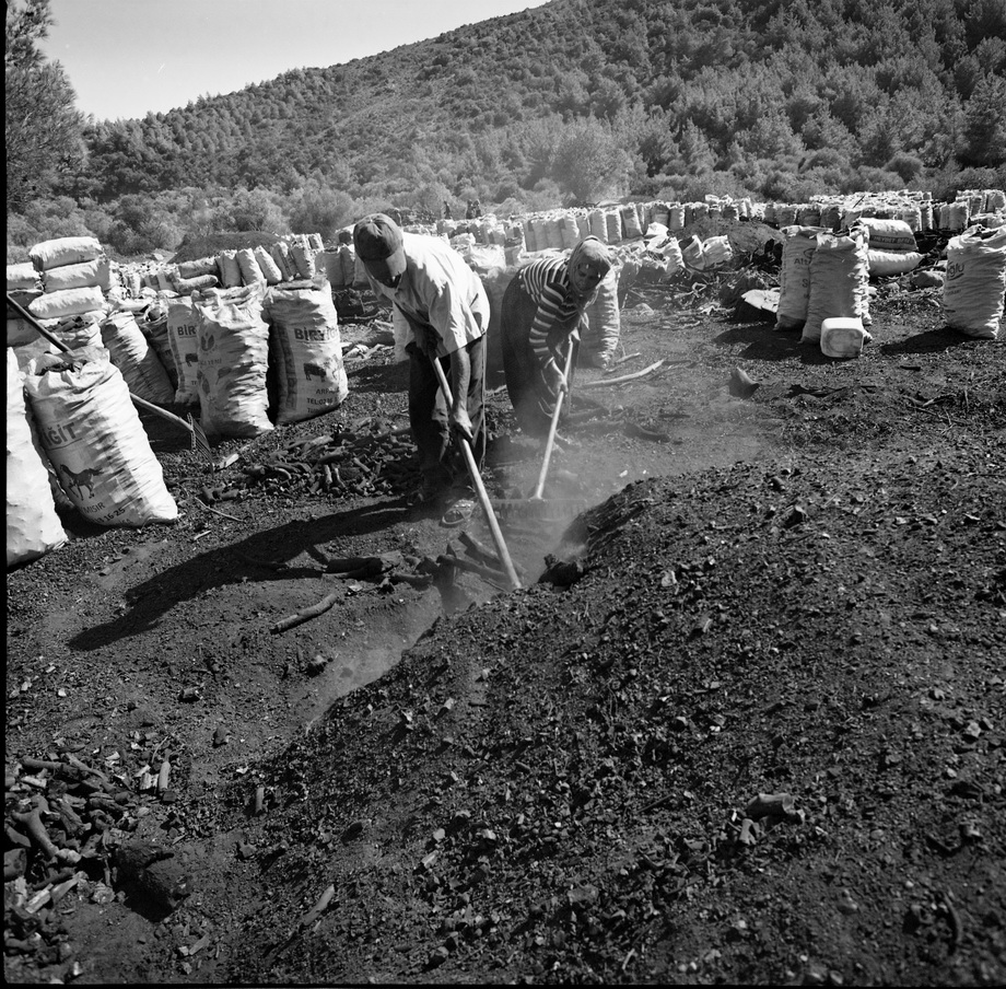 Traditional charcoal making, photograph 15