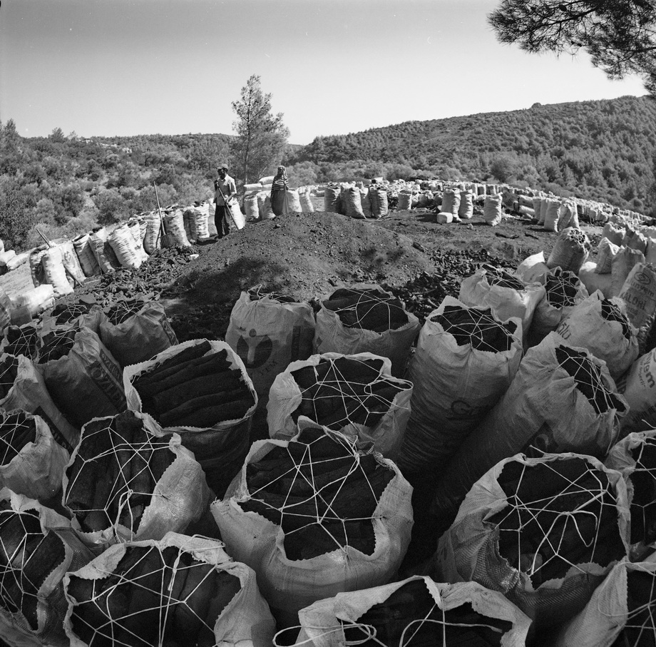 Traditional charcoal making, photograph 16